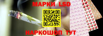 винт Донецк