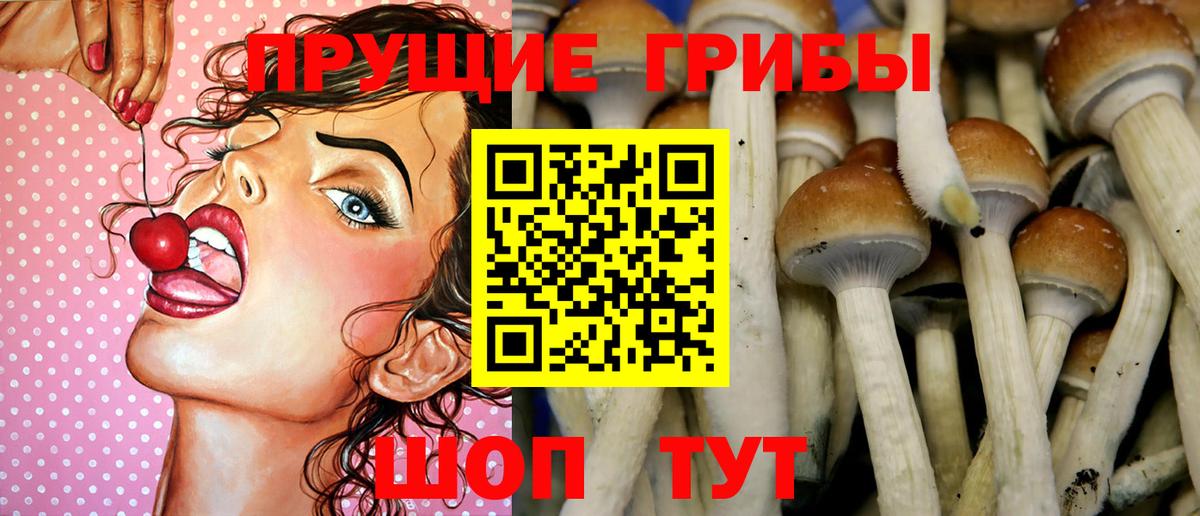 Галлюциногенные грибы мицелий Лянтор