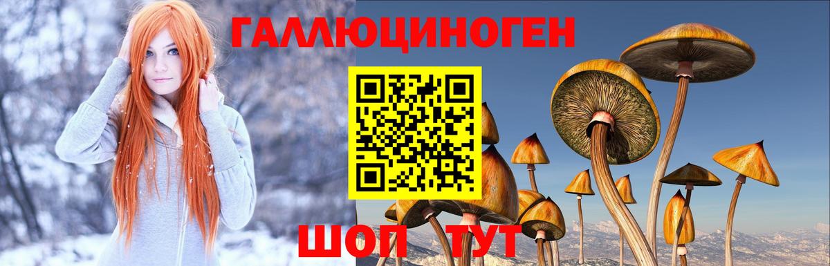 Псилоцибиновые грибы прущие грибы  Вход с VPN  Лянтор  Галлюциногенные грибы Psilocybine cubensis 